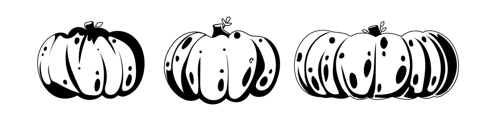 These pumpkins are black and white and are used in the fall season. Childrens coloring page. vector