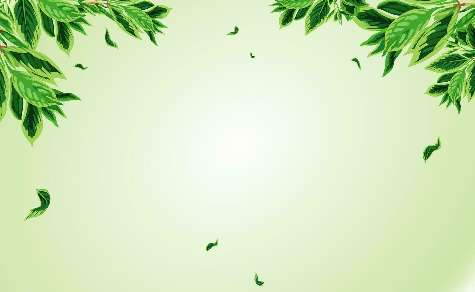 green leaves on a white background vector