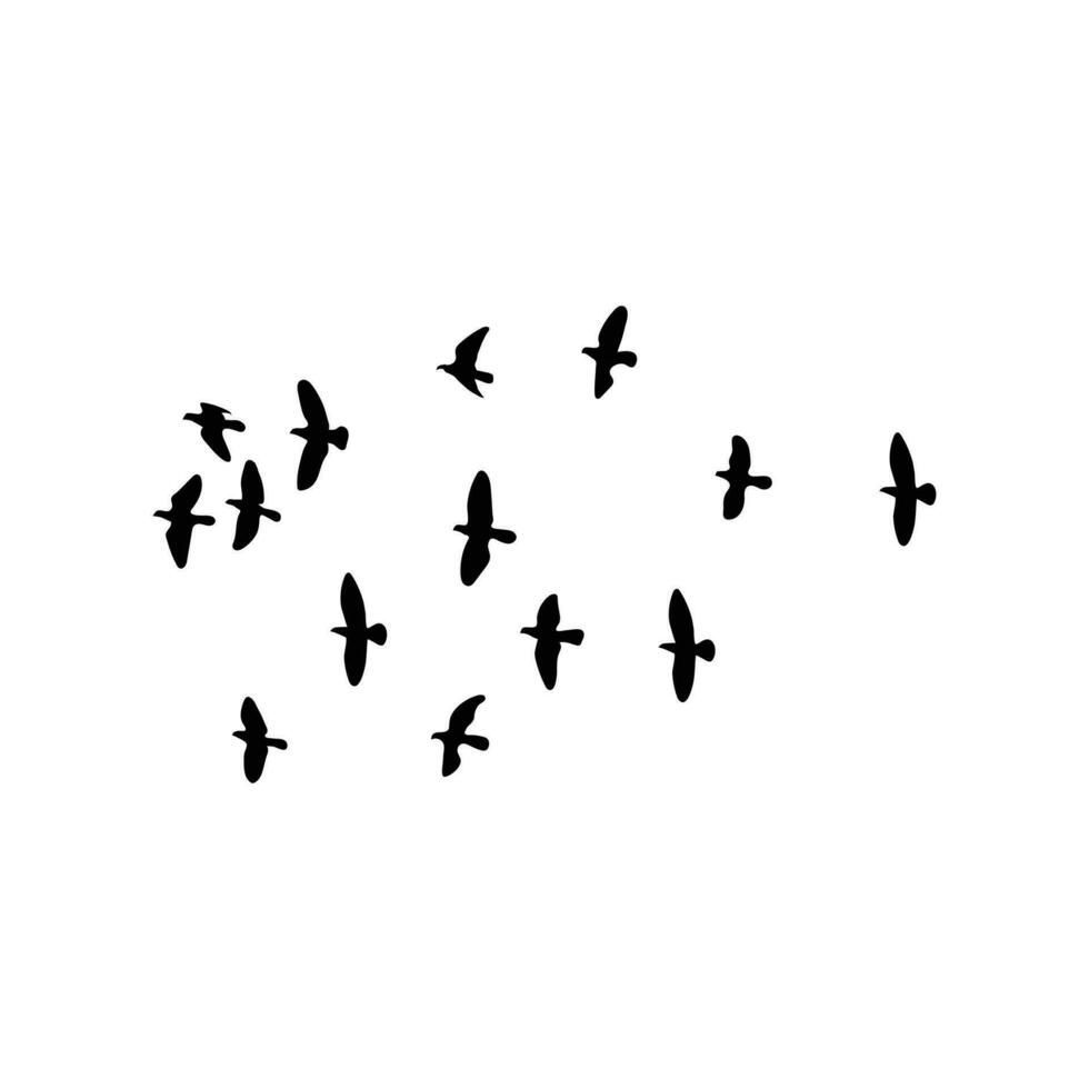 Flocks of free birds are soaring in the sky. vector