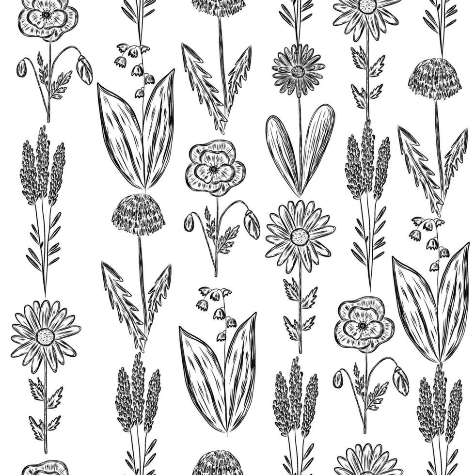 Pattern with wild flowers vector