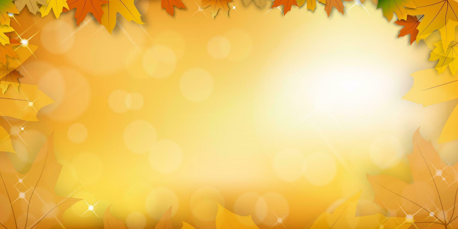 otoño fondo, otoño o arce hojas frontera marco con bokeh naturaleza ligero en naranja fondo, otoño temporada concepto con arce follaje en desenfocado luz de sol efecto con Copiar espacio vector