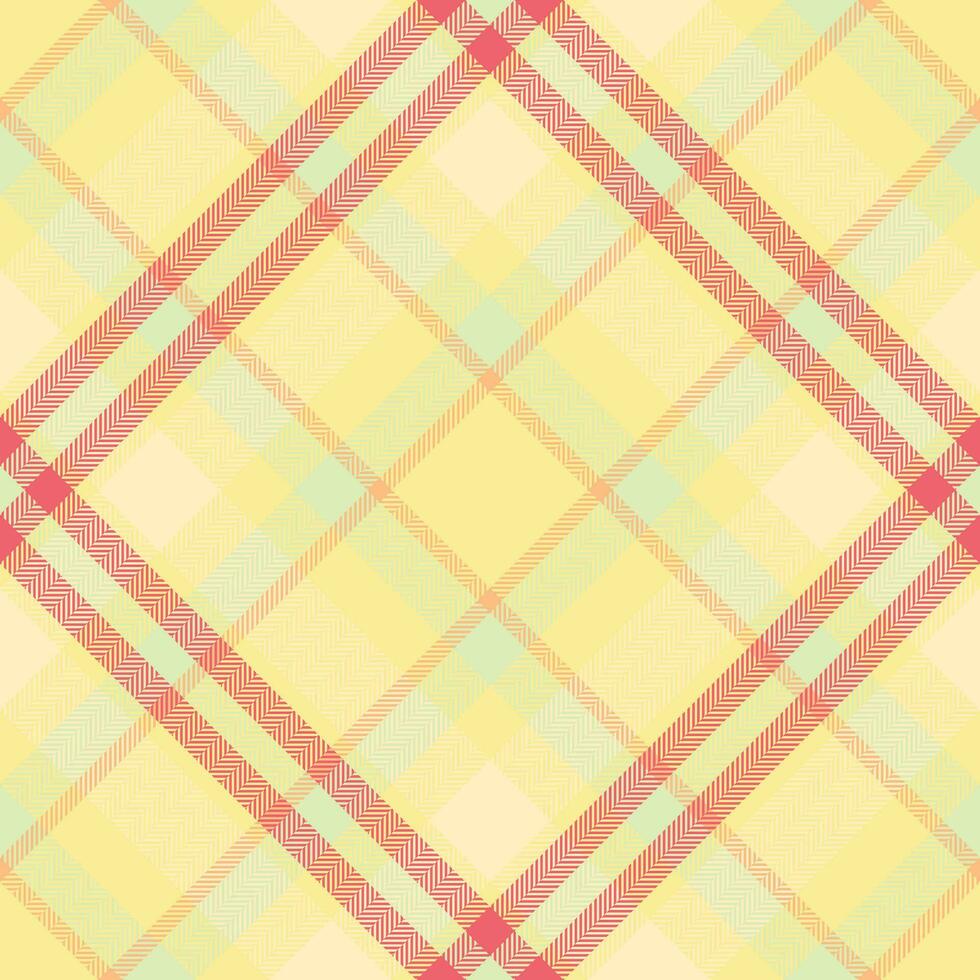 Plaid pattern vector. Check fabric texture. Seamless textile design for clothes, paper print. vector