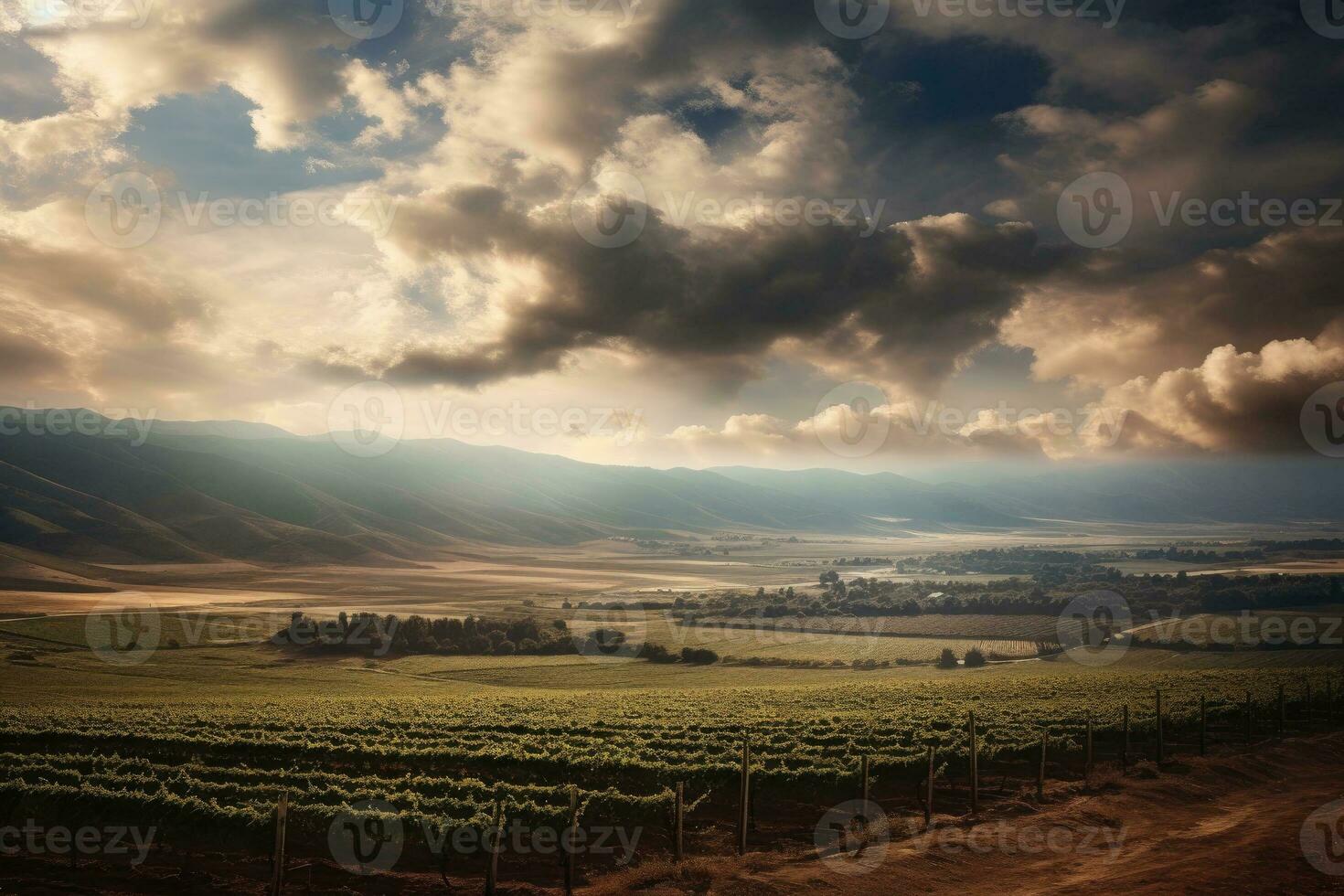 Landscape with vineyards. There are some nice dramatic clouds in the sky photo