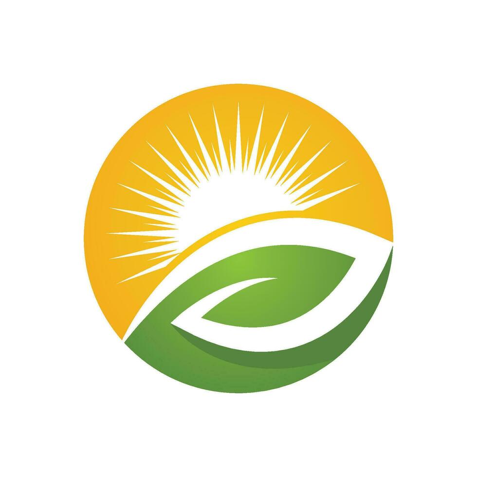Logos of green Tree leaf ecology vector