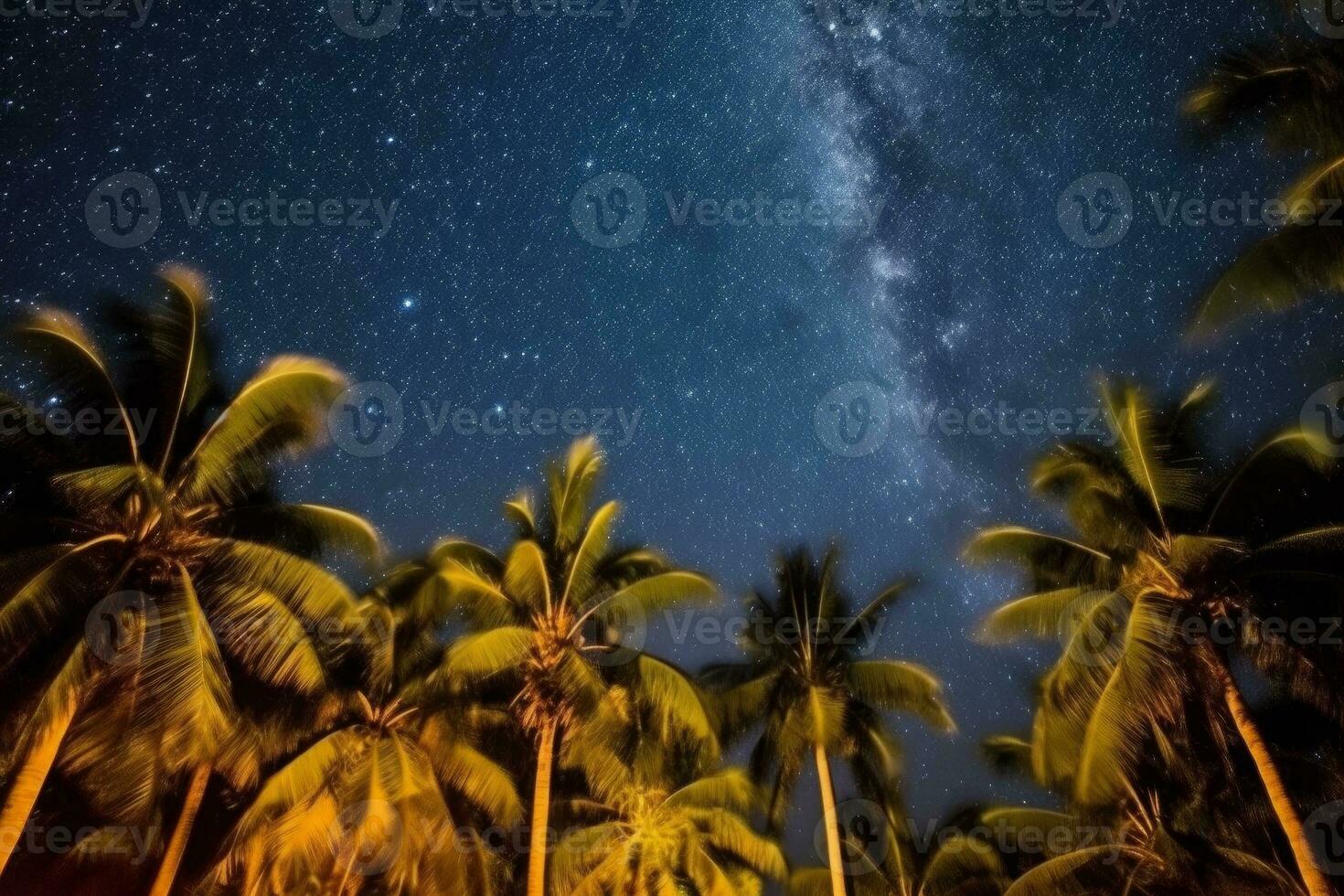Serene night sky with silhouetted palm trees and the milky way galaxy in full view photo