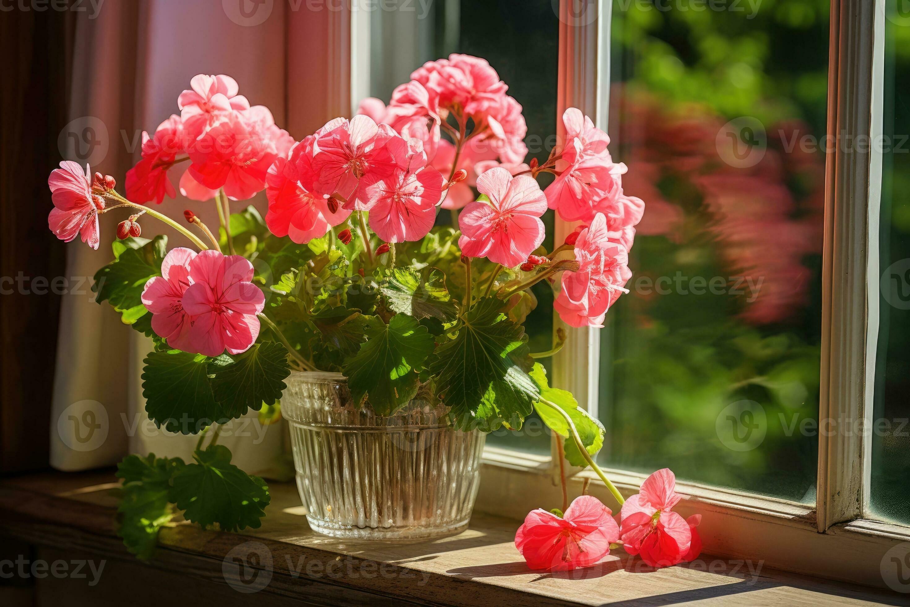 Different beautiful potted flowers on windowsill indoors 28139814 Stock ...