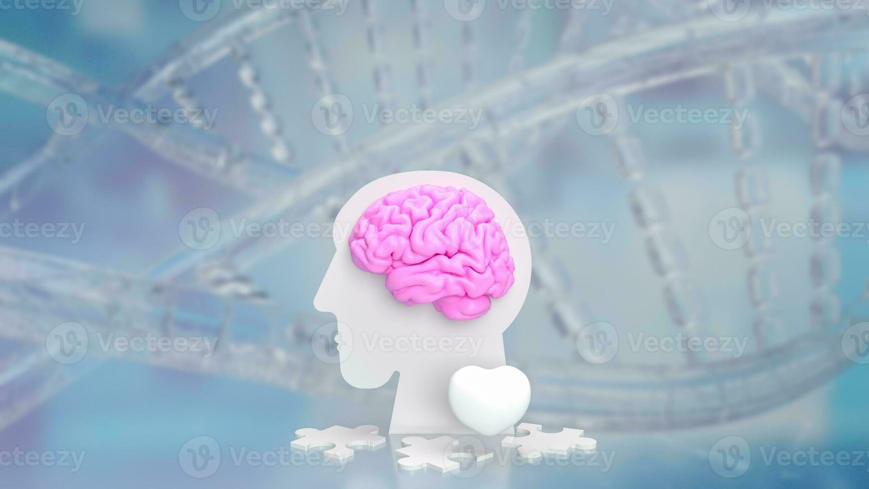 The bust head and brain for sci or medical concept 3d rendering photo