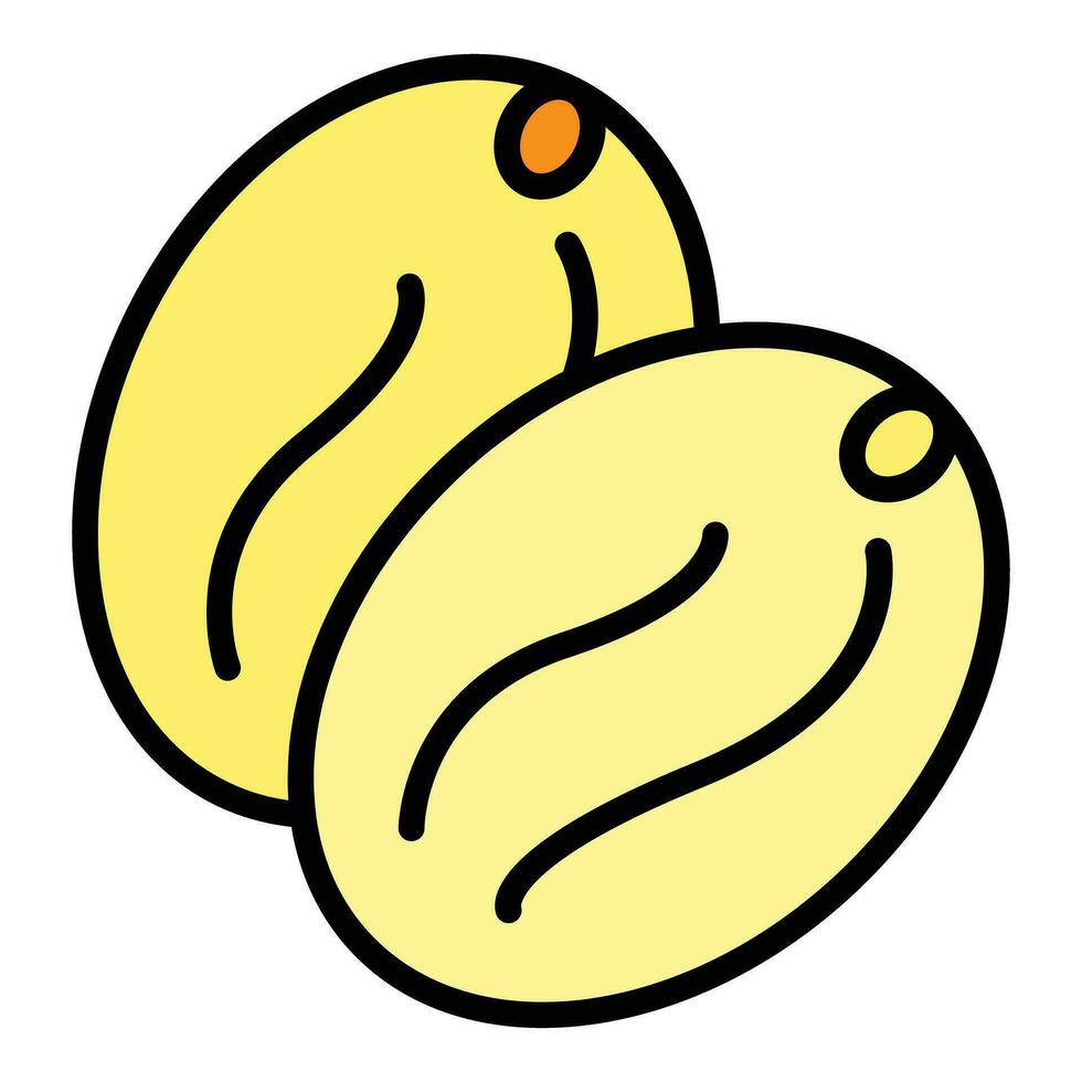 Dry fruit icon vector flat