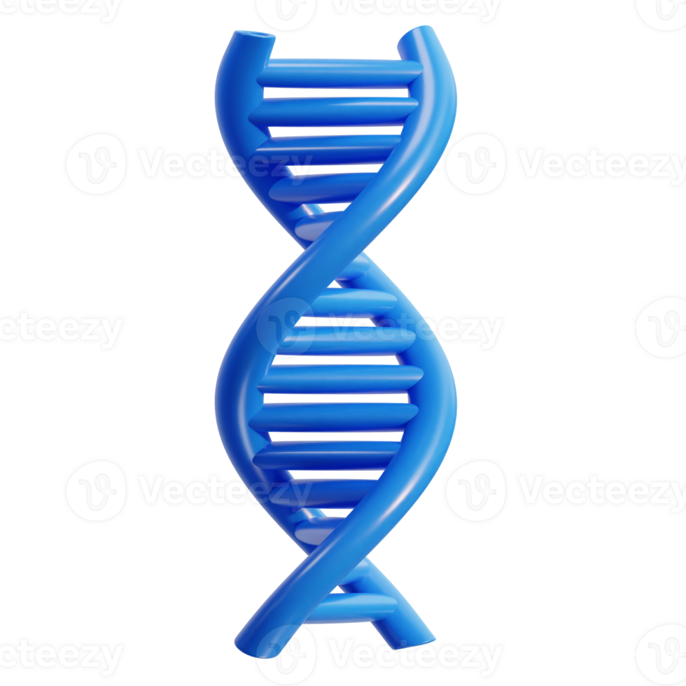 DNA 3d Illustration Symbol auf isoliert Hintergrund png