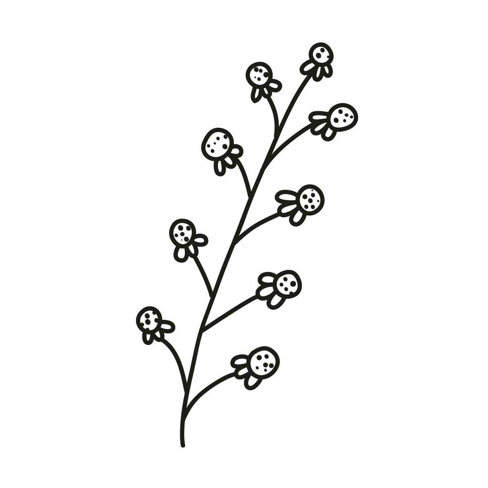 Isolated hand drawn doodle line simple flower. Flat vector illustration on white background.