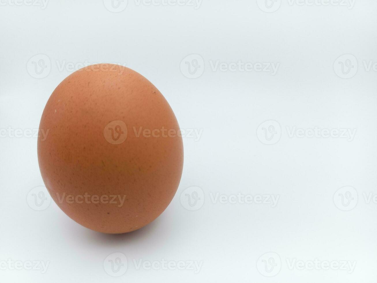 Brown Chicken Egg Standing Position Isolated On White Background With Negative Space photo