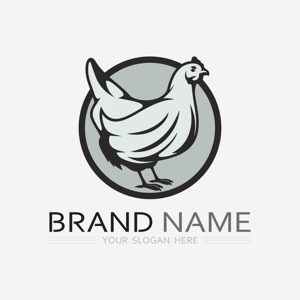 chicken logo  rooster and hen logo for poultry farming  animal logo vector illustration design