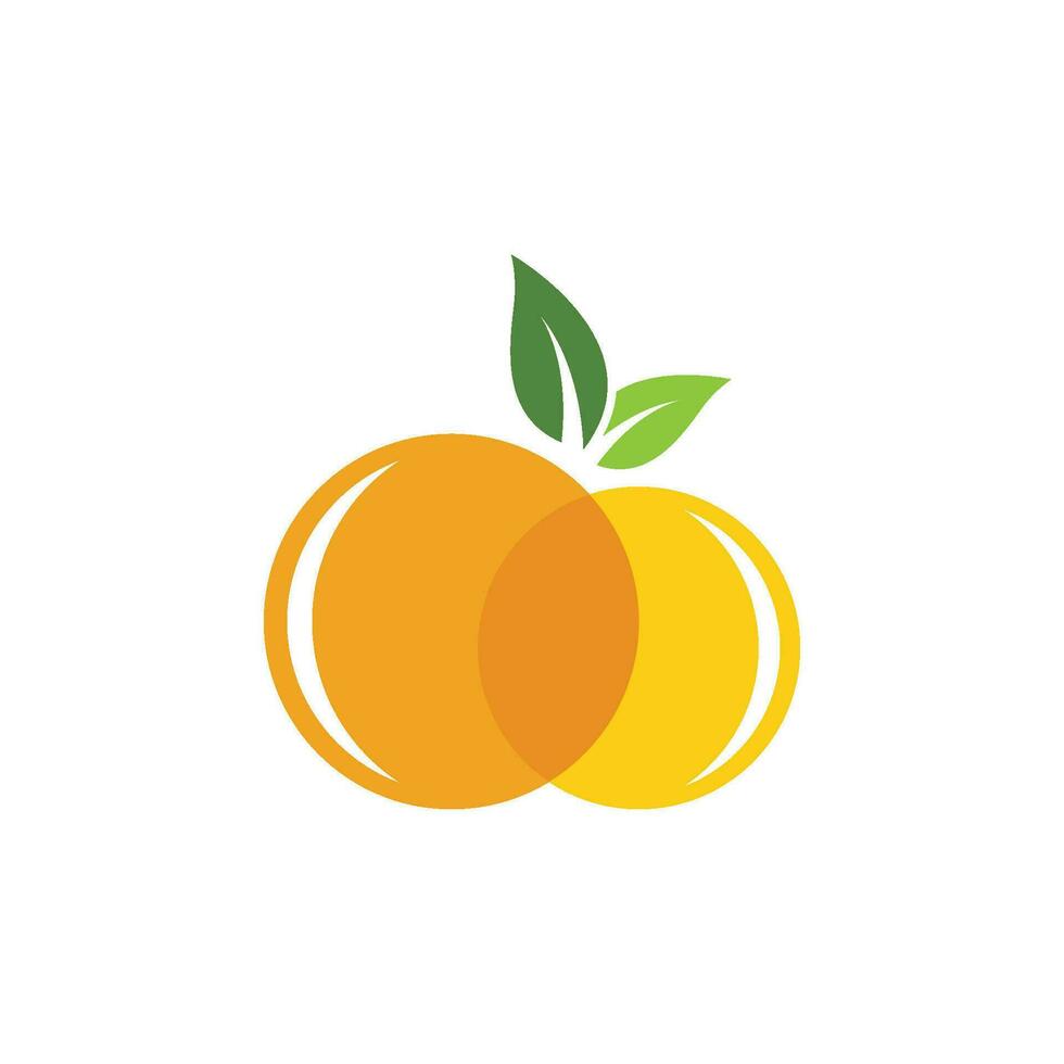 Orange logo design vector