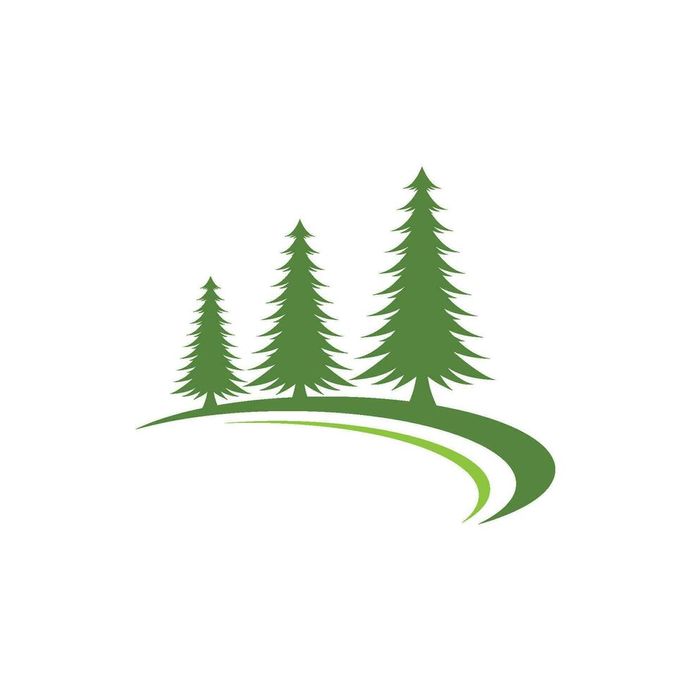 Cedar tree Logo template vector