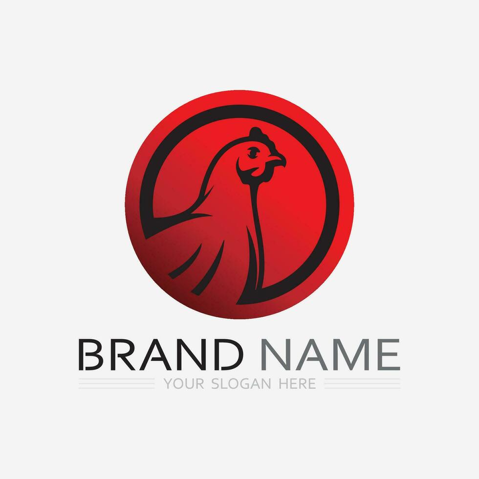 chicken logo  rooster and hen logo for poultry farming  animal logo vector illustration design