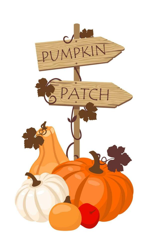 Pumpkin crop with a wooden road sign PUMPKIN PATCH. vector