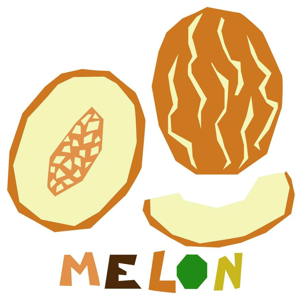Orange melon, whole and in section, highlighted on a white background. The original signature is melon. Juicy summer fruits for organic food packaging. Geometric stylized flat vector illustration