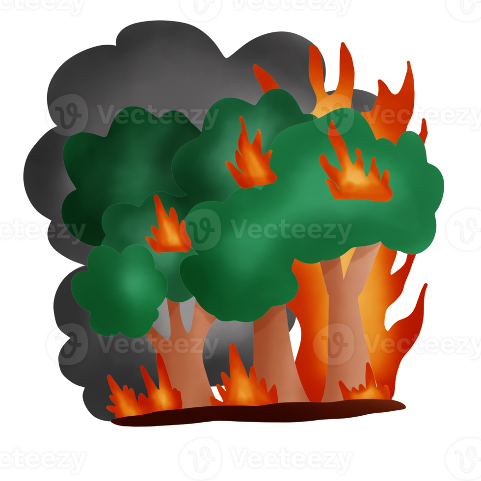 Forest fires cause smoke png