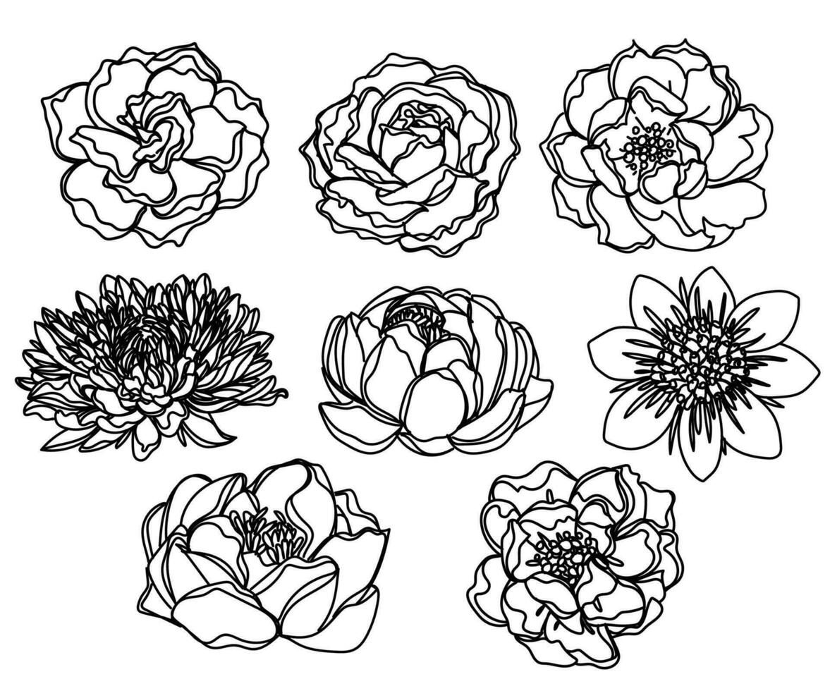 Tattoo art flower hand drawing and sketch vector