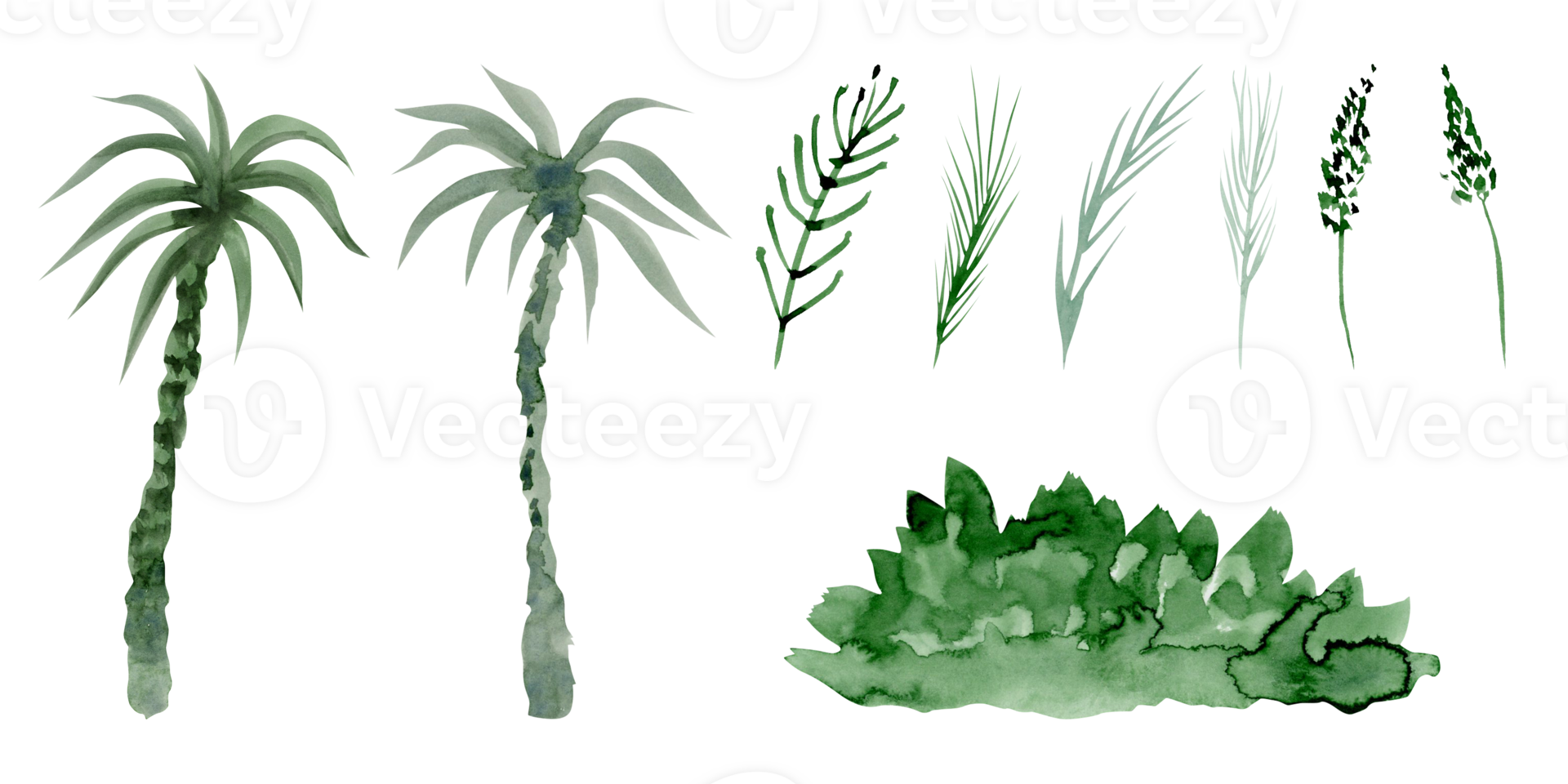 Watercolor simple palm trees and green grass illustration set. Lawn sketch bundle png