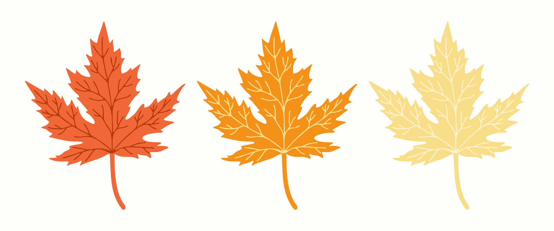 Clip Art: Maple Leaves