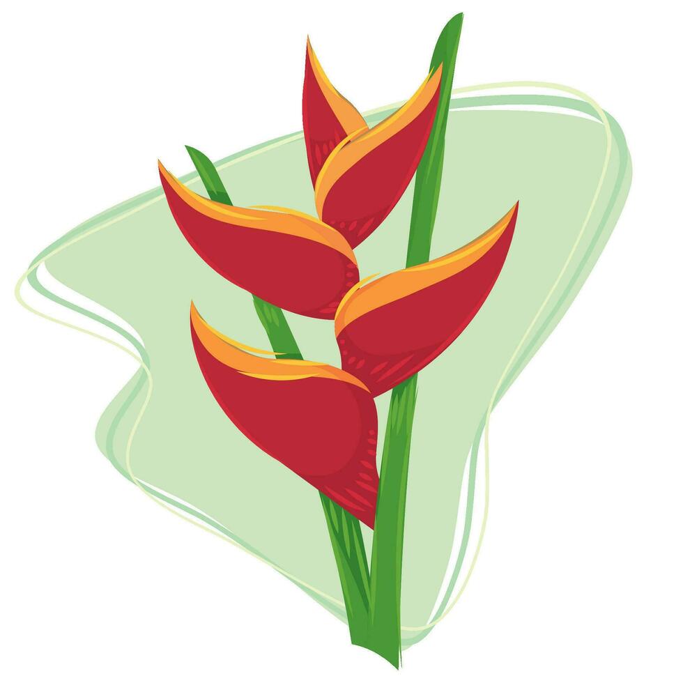 Isolated colored natural tropical flower Vector