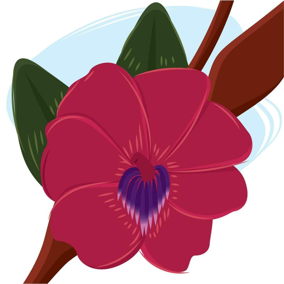 Isolated colored natural tropical flower Vector