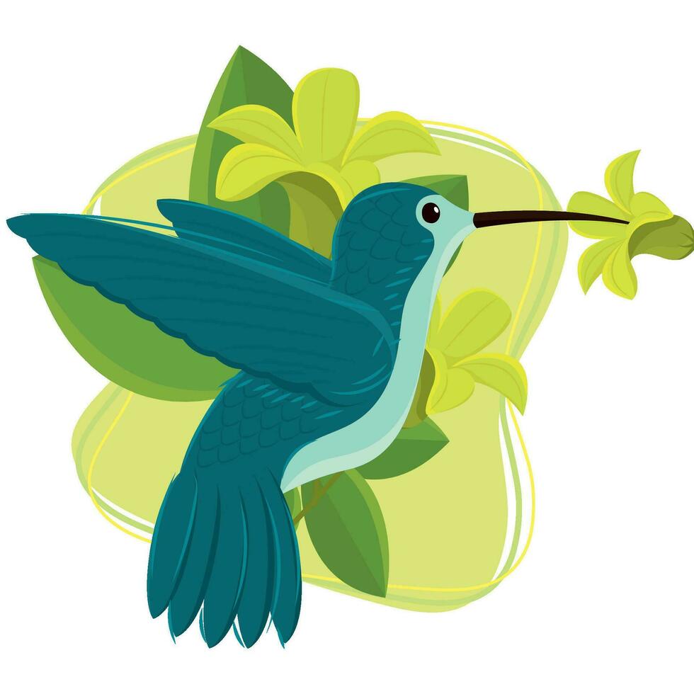 Isolated cute colored hummingbird animal Vector