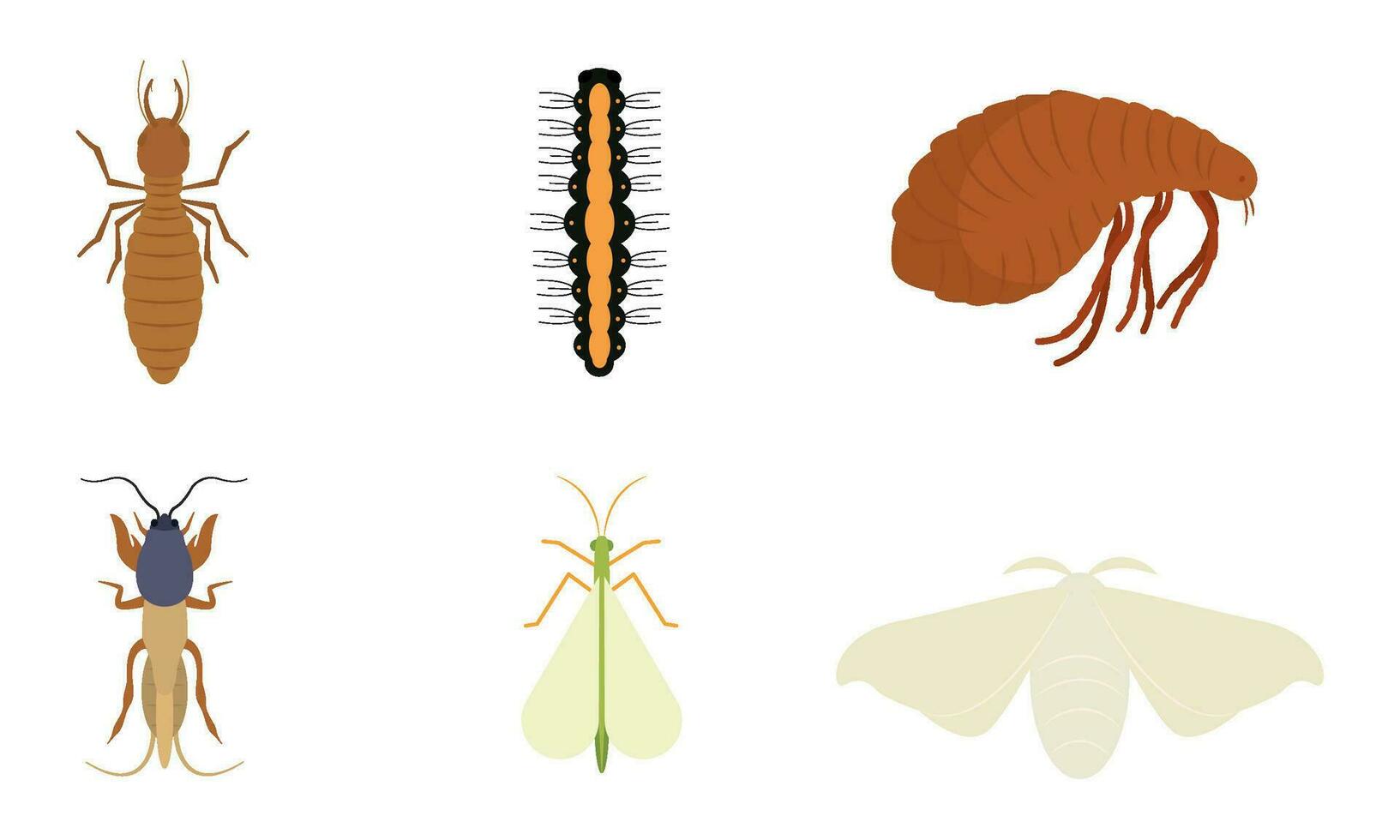 Set of different colored insect icons Vector