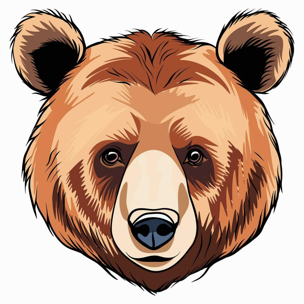 cute bear face on white background illustration vector