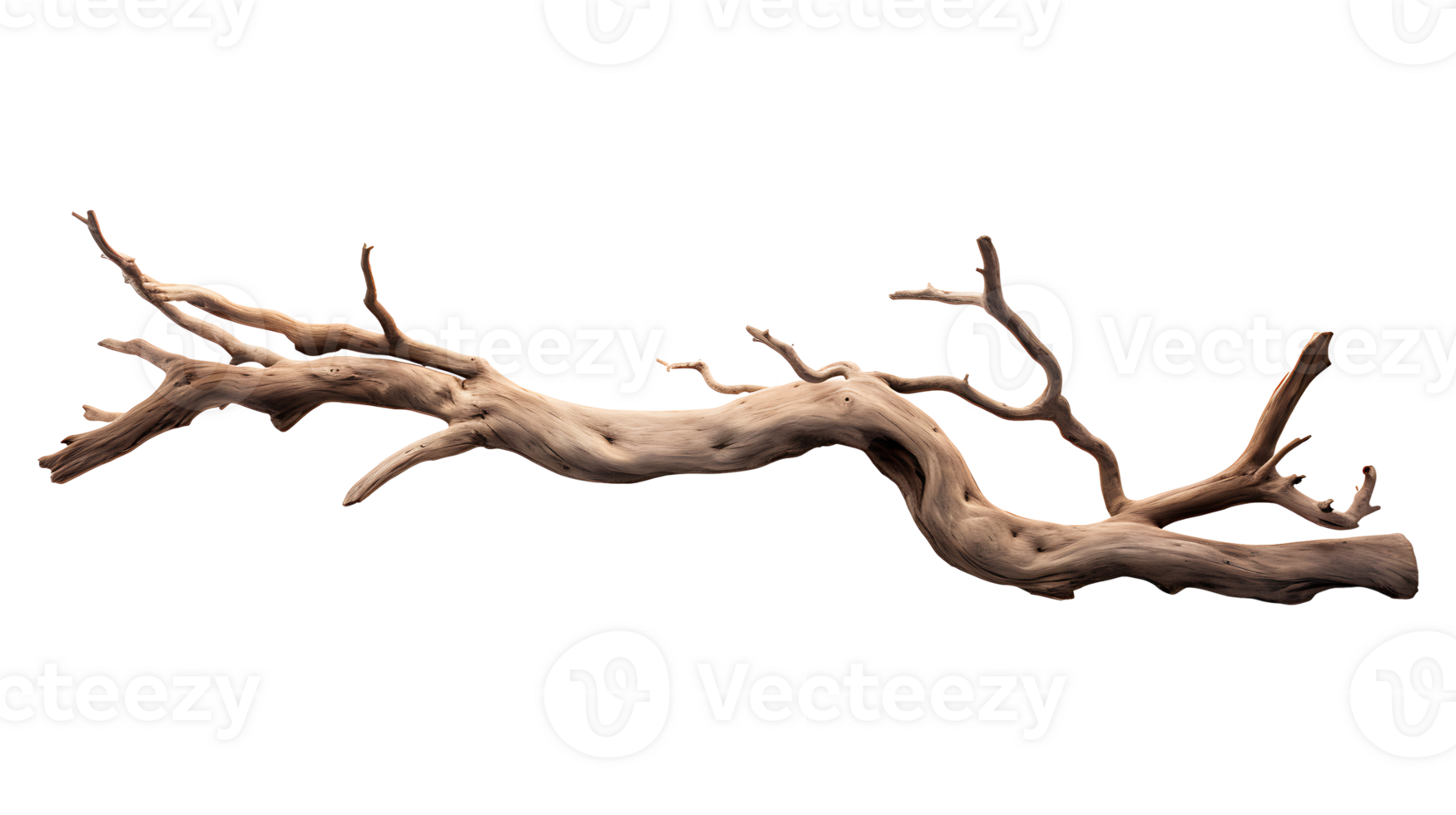 Dry wood branch isolated on transparent background aI generated png