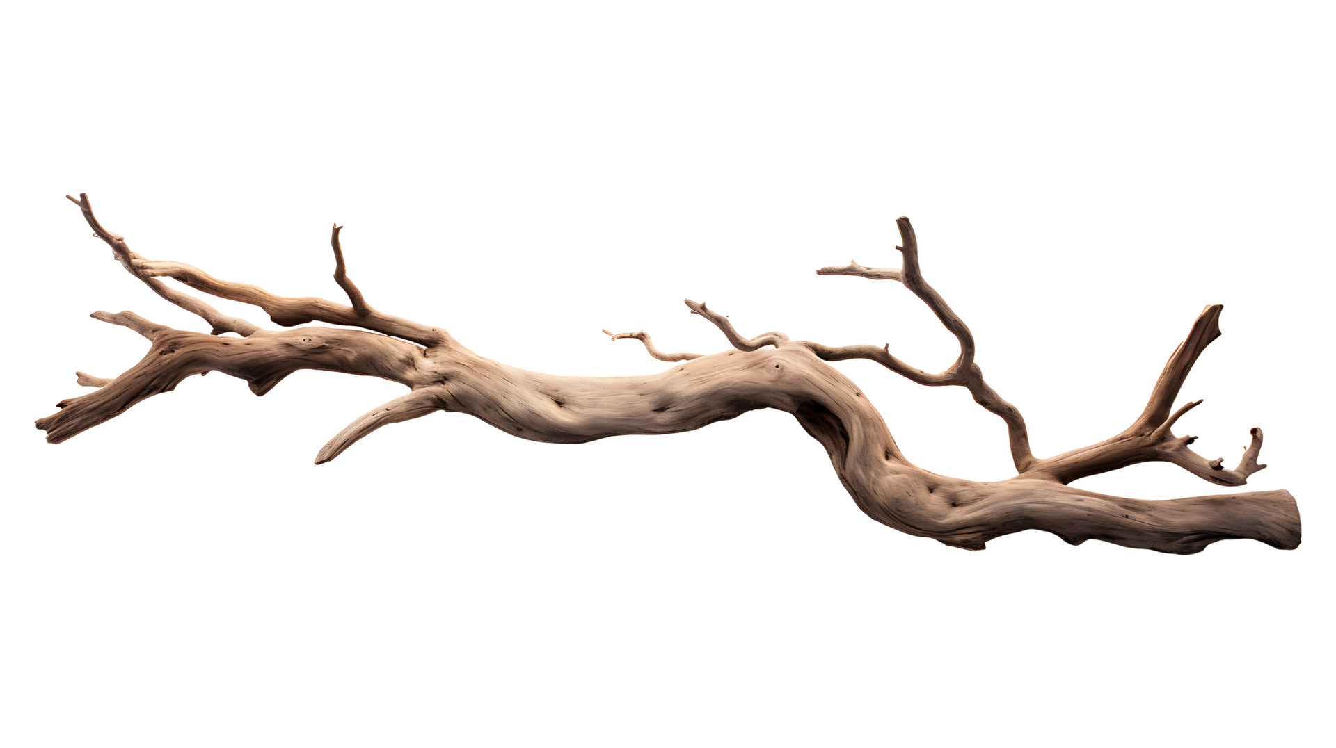 Dry wood branch isolated on transparent background aI generated