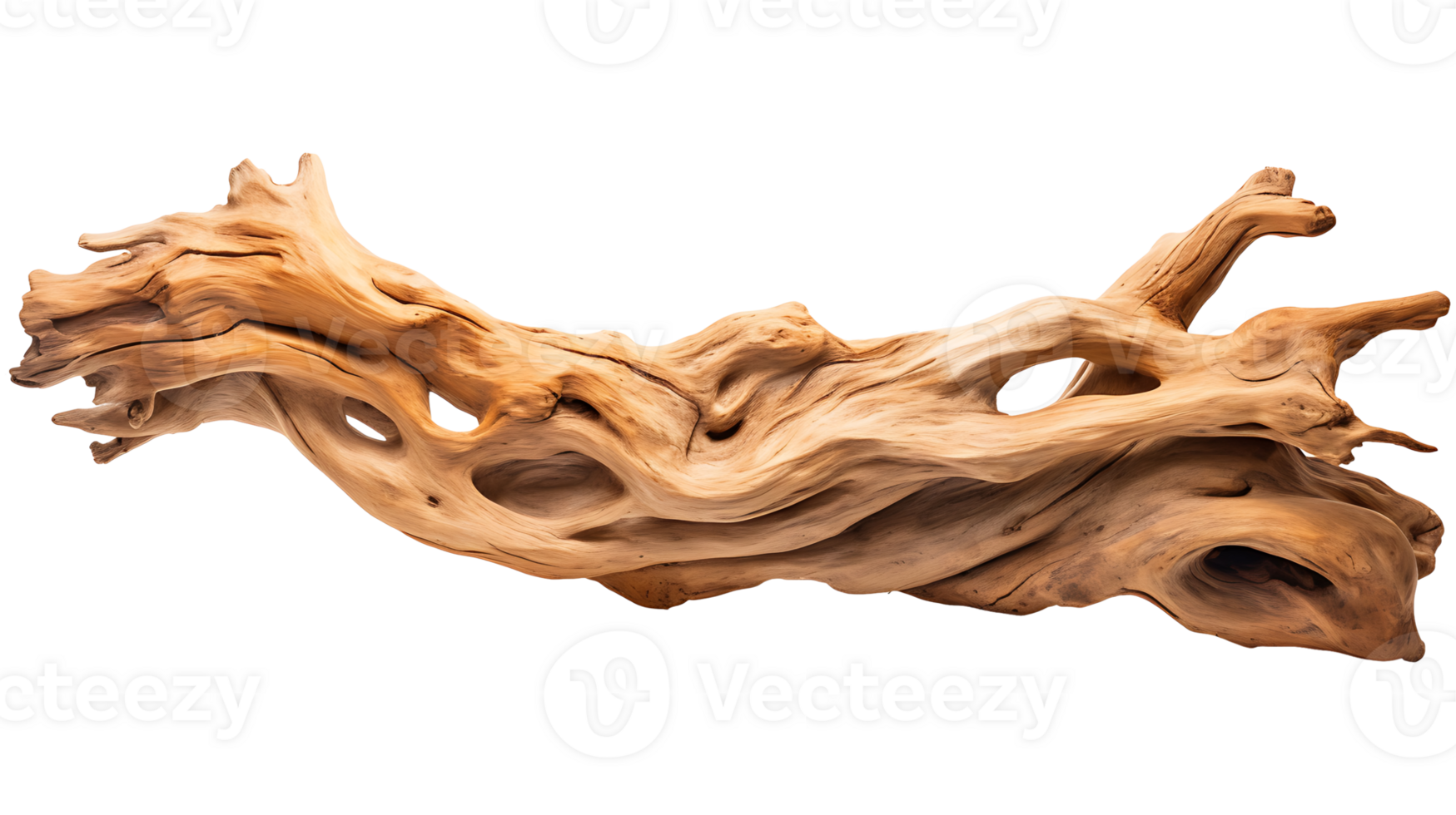 droog hout geïsoleerd Aan transparant achtergrond. boom hout PNG ai gegenereerd