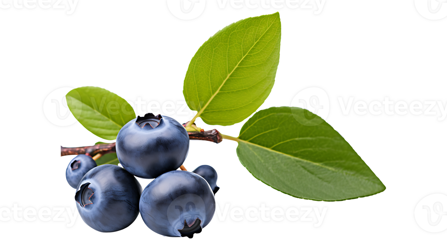 Blueberry with leaf branch isolated on transparent background ai generated png