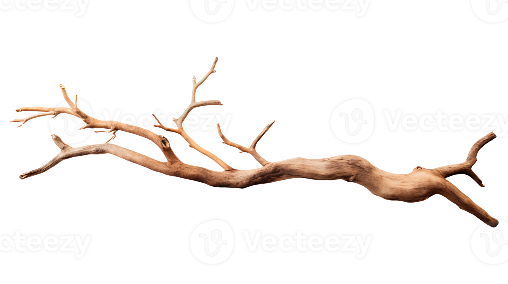 Dry wood branch isolated on transparent background aI generated png