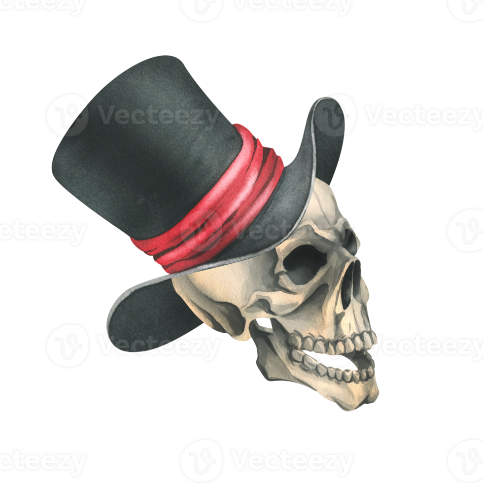 A human skull in a black top hat with a red ribbon. Hand drawn watercolor illustration for day of the dead, halloween, Dia de los muertos. Isolated object png