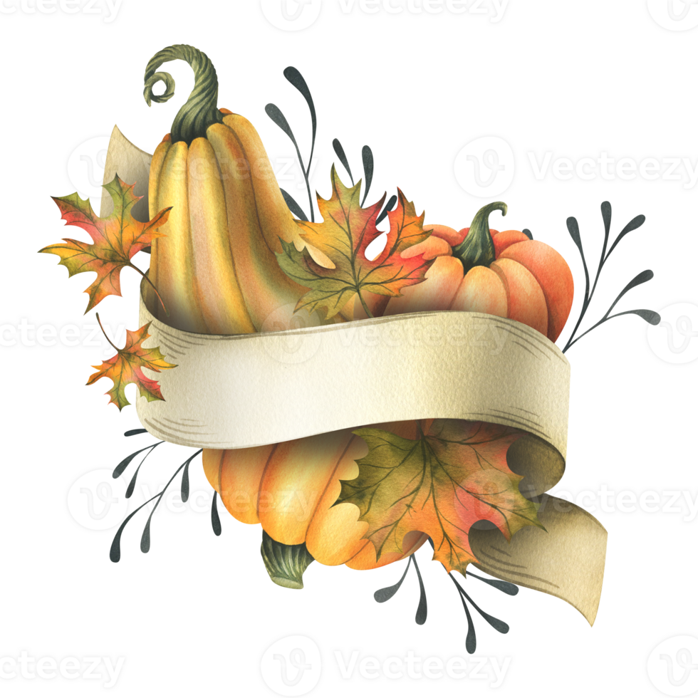 Orange autumn pumpkins with maple leaves, twigs and paper roll blank template for text. Watercolor illustration, hand drawn. Isolated composition png