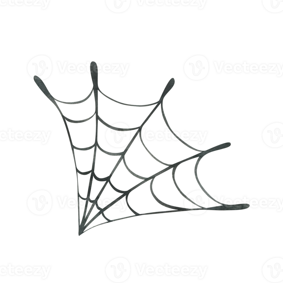 Black round cobweb quarter. Hand drawn watercolor illustration for day of the dead, halloween, Dia de los muertos. Isolated object png