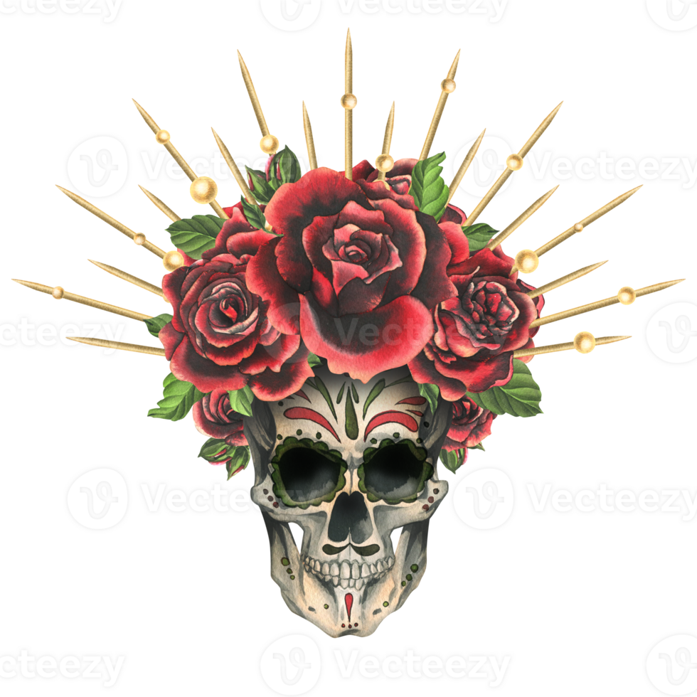 Human skull with an ornament, red roses in a golden crown with beads. Hand drawn watercolor illustration for Halloween, day of the dead, Dia de los muertos. Isolated composition png