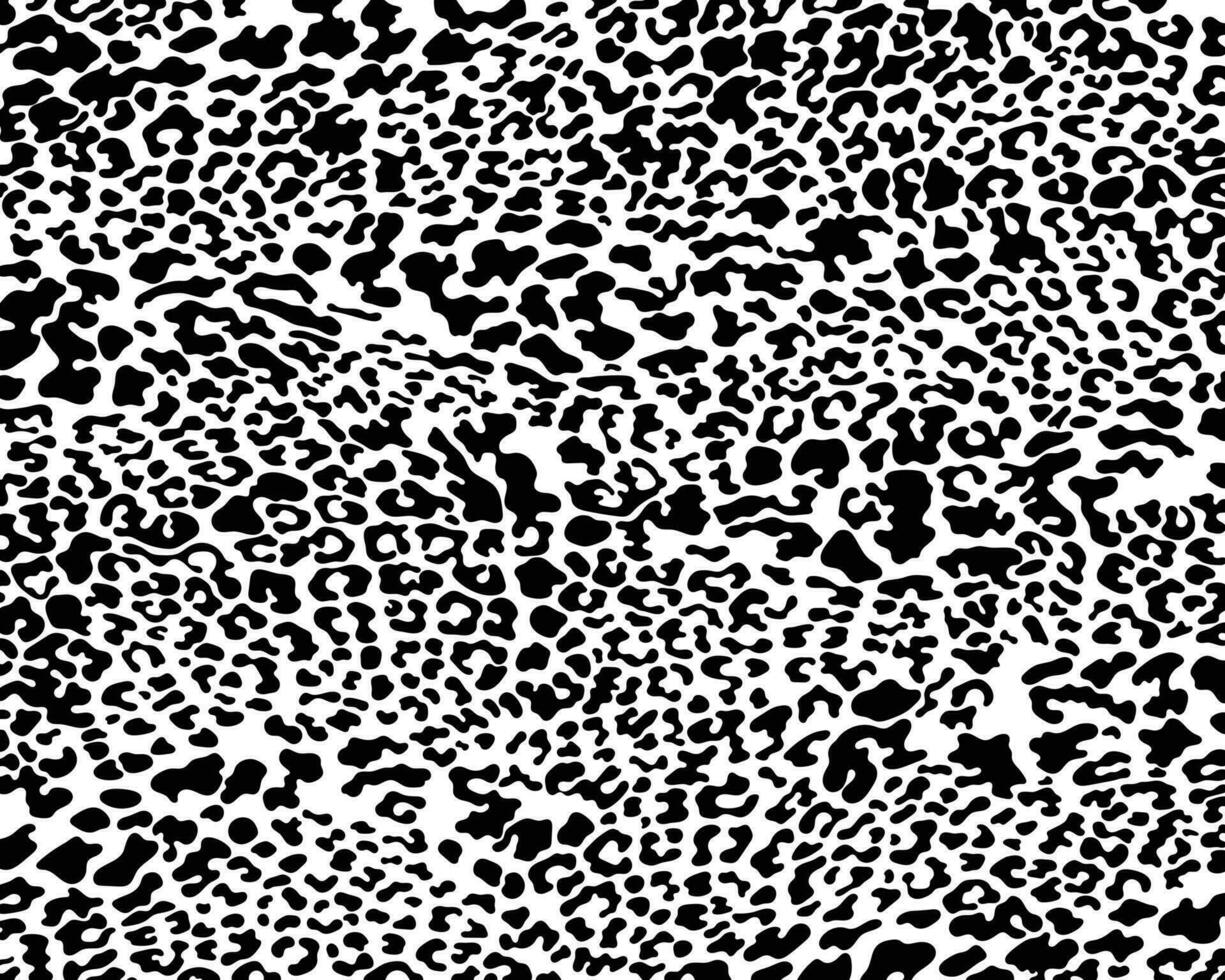 Leopard print pattern animal seamless black spots on a white background classic design. vector