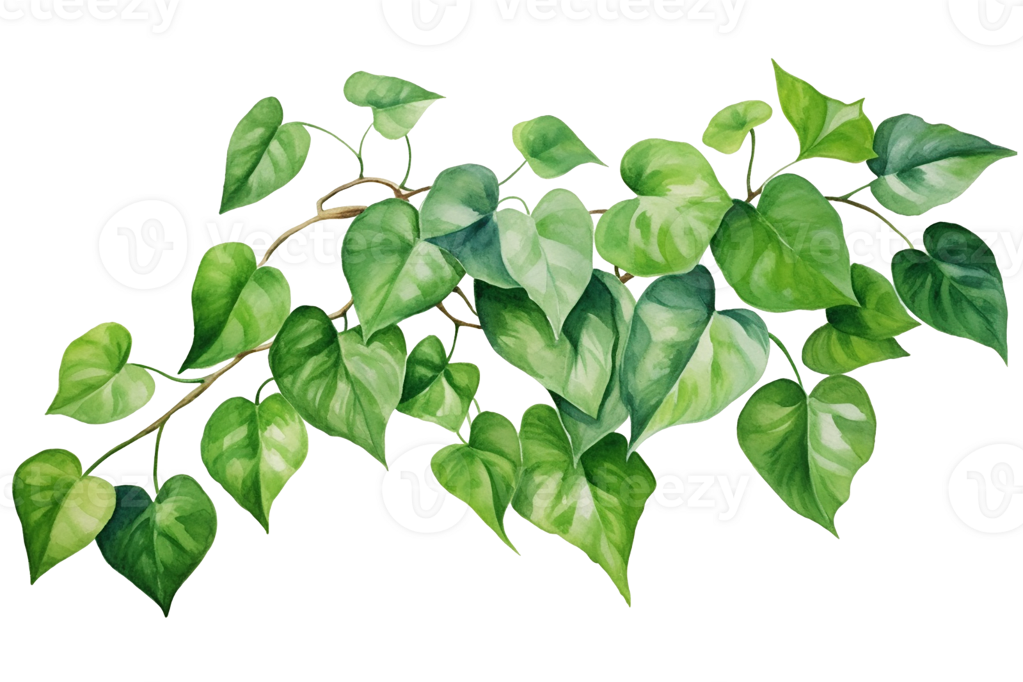 Watercolor painting of green ivy leaves isolated on a transparent background. Watercolor hand painted illustration. Tropical plants for beautiful design. Generative AI png