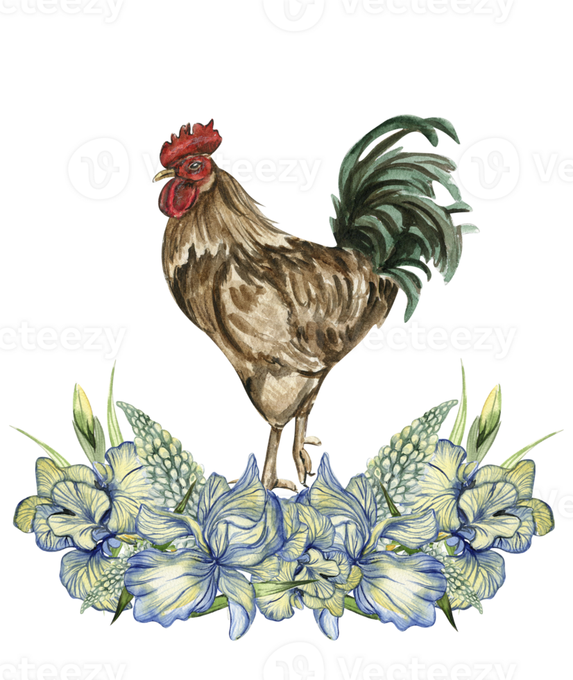 Watercolor flowers and rooster composition. 28171006 PNG