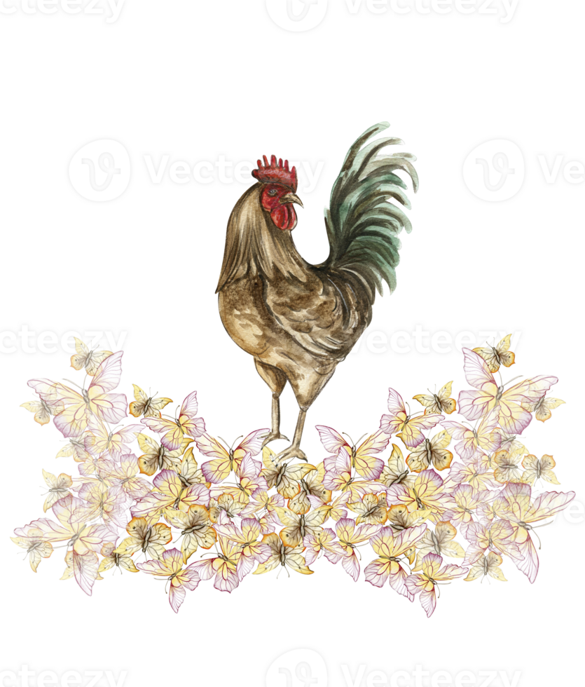 Watercolor flowers and rooster composition. 28171030 PNG