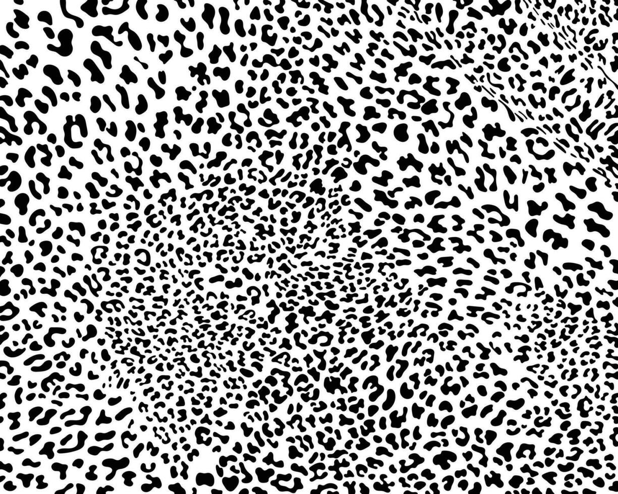 Leopard print pattern animal seamless black spots on a white background classic design. vector