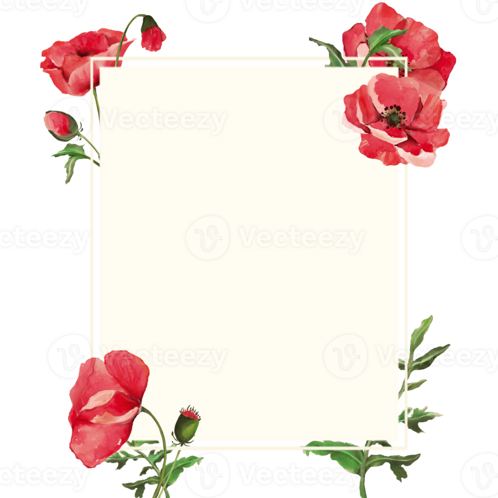 Poppy flower set of red poppy isolated png