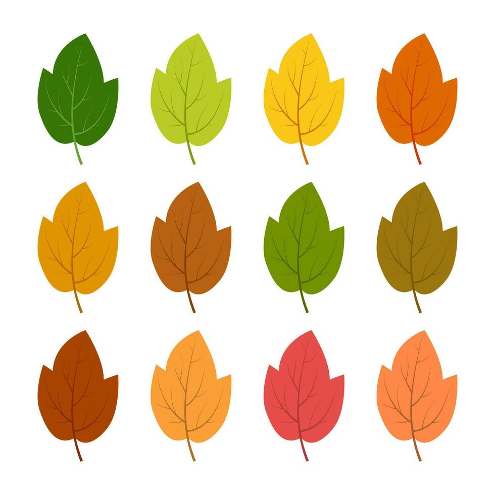 Set of twelve autumn leaves in different autumn colors. Vector illustration.