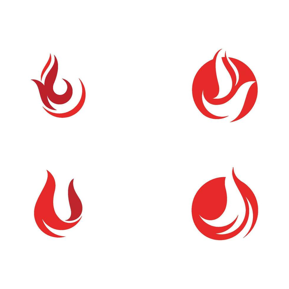 Falcon Logo Template vector