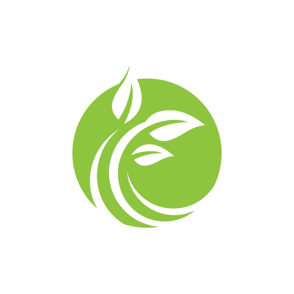 Logos of green Tree leaf ecology vector