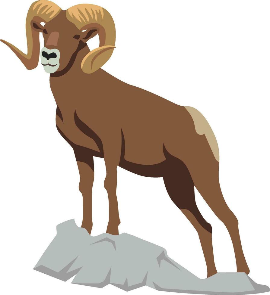 Desert Bighorn Sheep vector