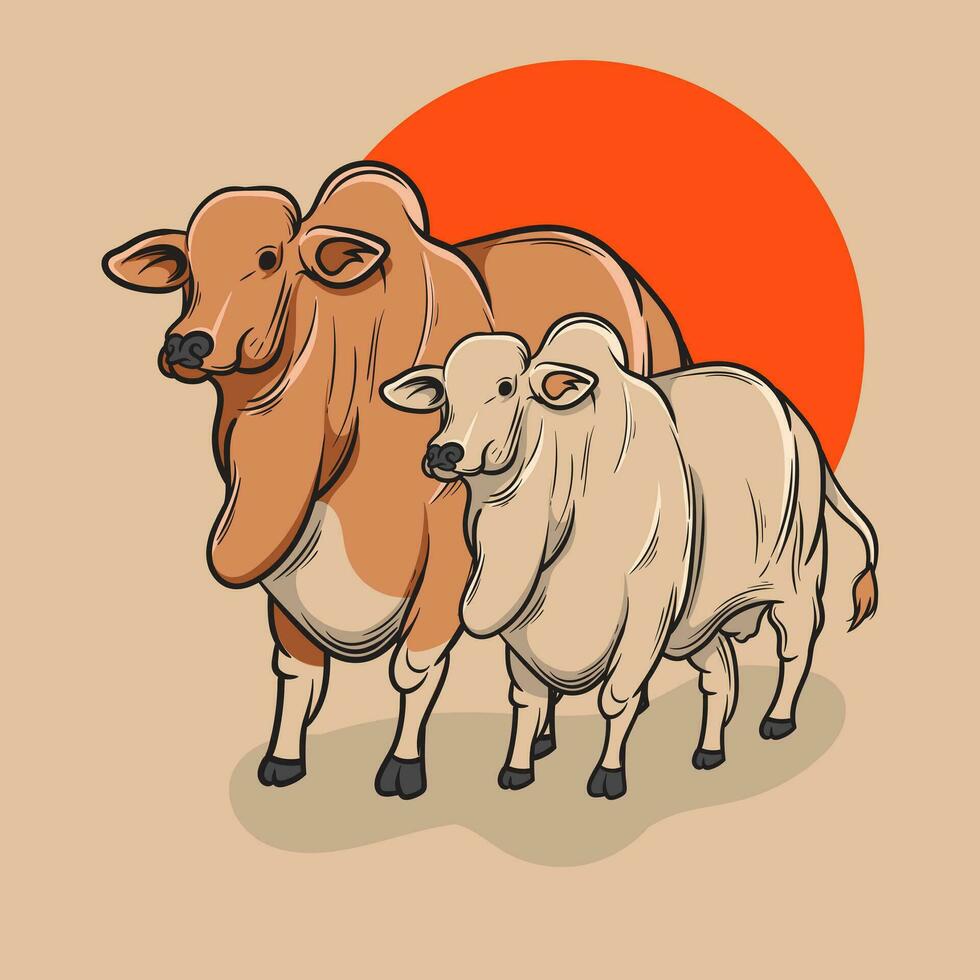 vector illustration of a brahman cow
